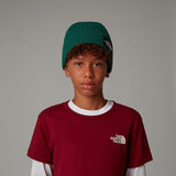 Gorro com logótipo de caixa TNF na dobra para criança The North Face