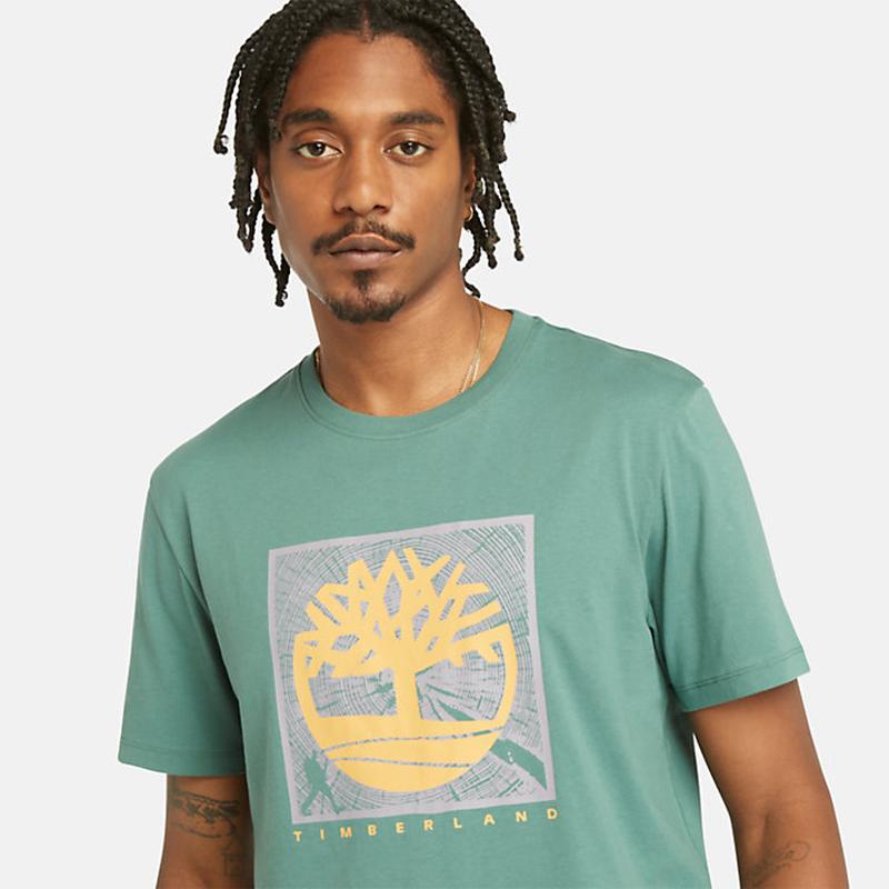 T-shirt com Gráfico à Frente para Homem em amarelo Timberland