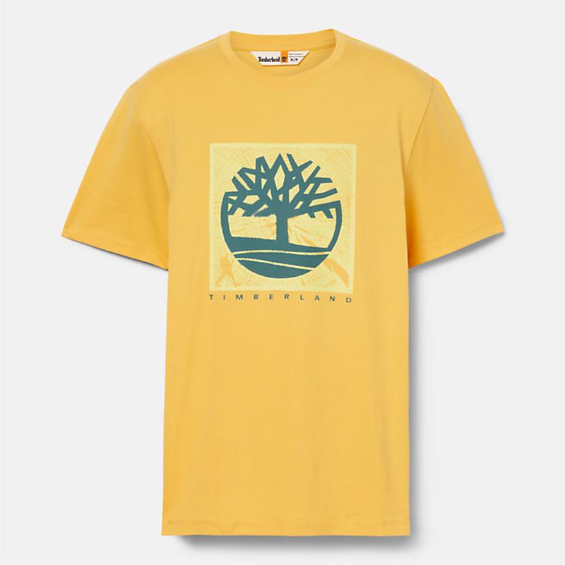 T-shirt com Gráfico à Frente para Homem em amarelo Timberland