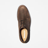 Sapato Impermeável Oxford Stormbucks para Homem em castanho-escuro Timberland
