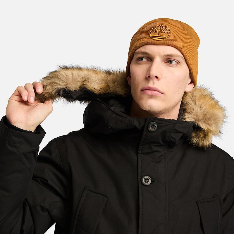 Parka Impermeável Scar Ridge para Homem em azul-escuro Timberland