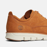 Ténis com Atacadores Low Bradstreet para Homem em castanho Timberland