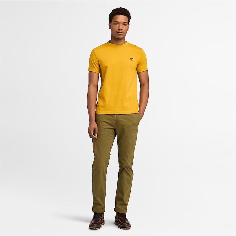 T-shirt Dunstan River para Homem em verde-escuro Timberland