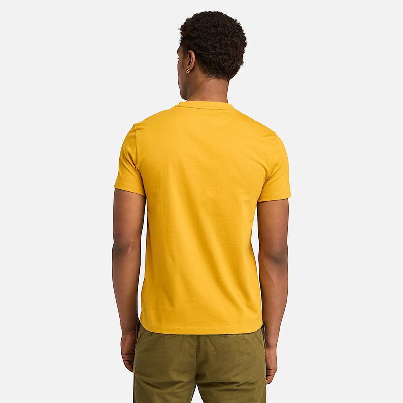 T-shirt Dunstan River para Homem em verde-escuro Timberland