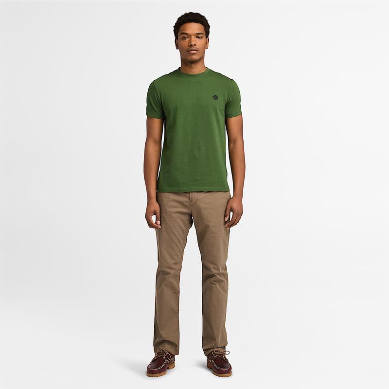 T-shirt Dunstan River para Homem em verde-escuro Timberland