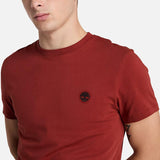 T-shirt Dunstan River para Homem em verde-escuro Timberland