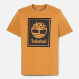 T-shirt com Logótipo Kennebec River para Homem em branco Timberland