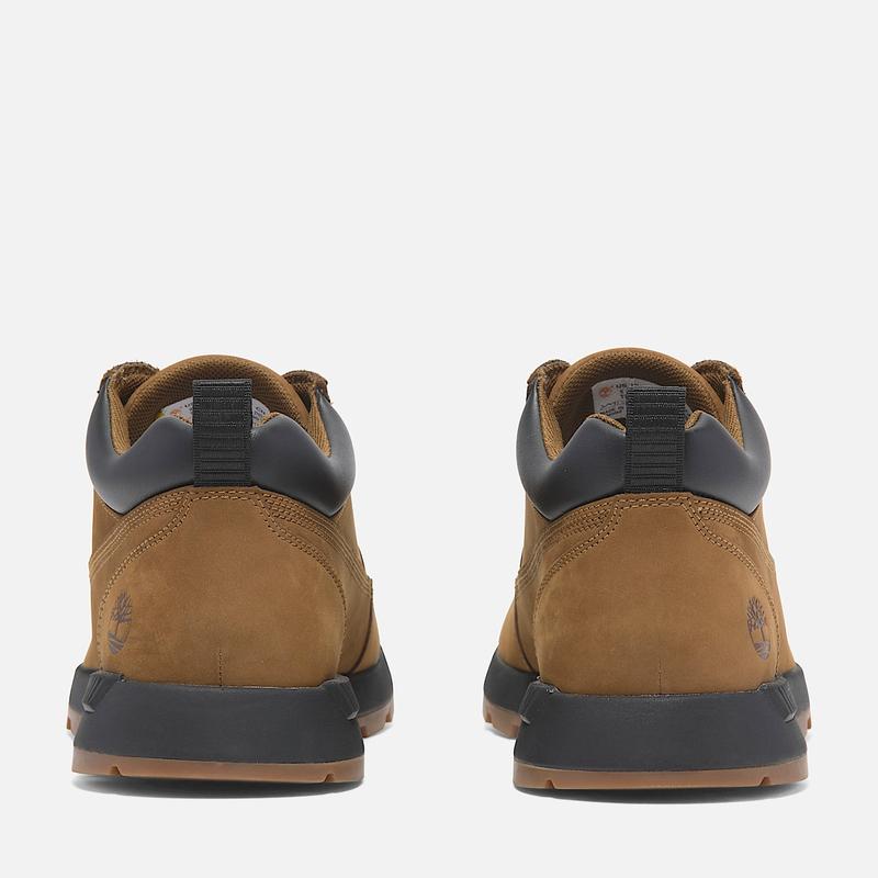 Ténis com Atacadores Low Killington Trekker para Homem em castanho Timberland