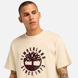 T-shirt com Gráfico Holiday para Homem em bege Timberland