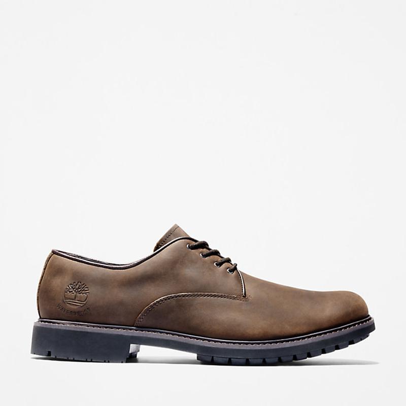 Sapato Impermeável Oxford Stormbucks para Homem em castanho-escuro Timberland
